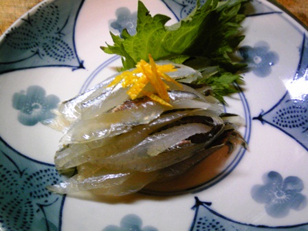 さより昆布〆S.jpg